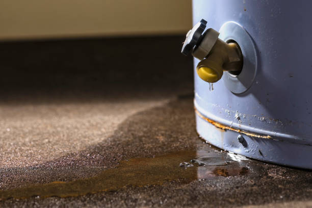 Best Commercial water damage restoration  in Wilton Center, CT