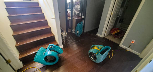 Best Fire Damage Restoration  in Wilton Center, CT