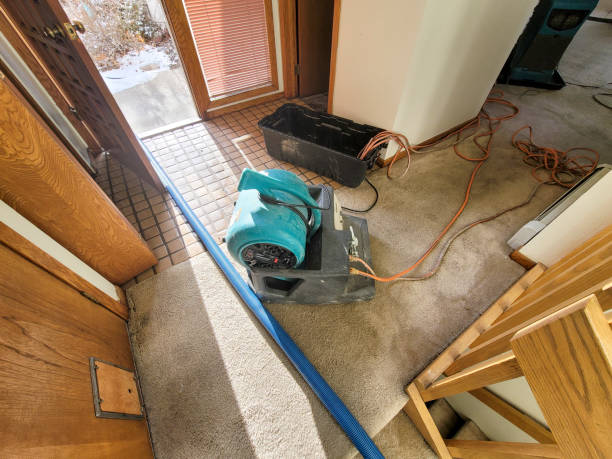 Best Water damage cleanup near me  in Wilton Center, CT