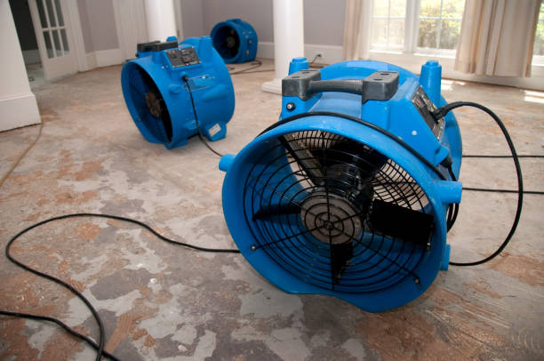 Best Water damage restoration near me  in Wilton Center, CT