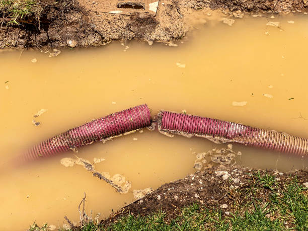 Best Water damage cleanup near me  in Wilton Center, CT
