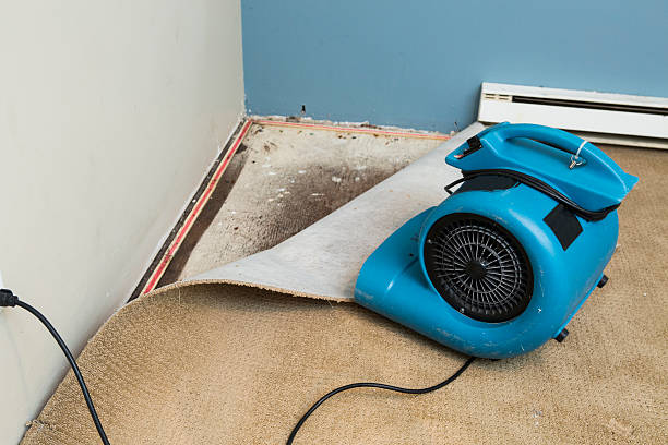 Best Flood damage cleanup  in Wilton Center, CT